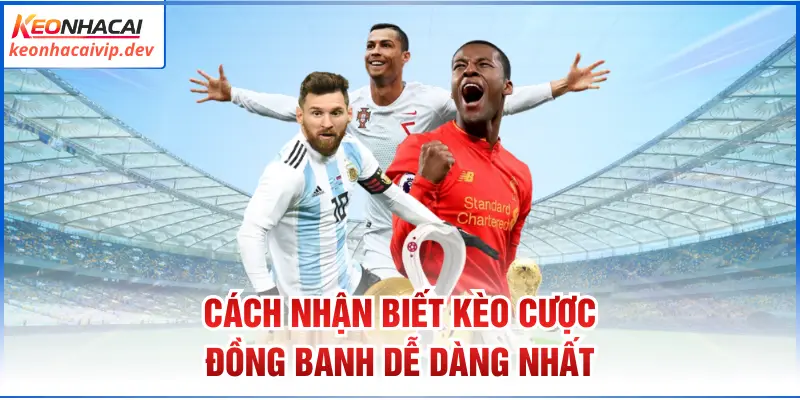 Cách nhận biết kèo cược đồng ban dễ dàng nhất