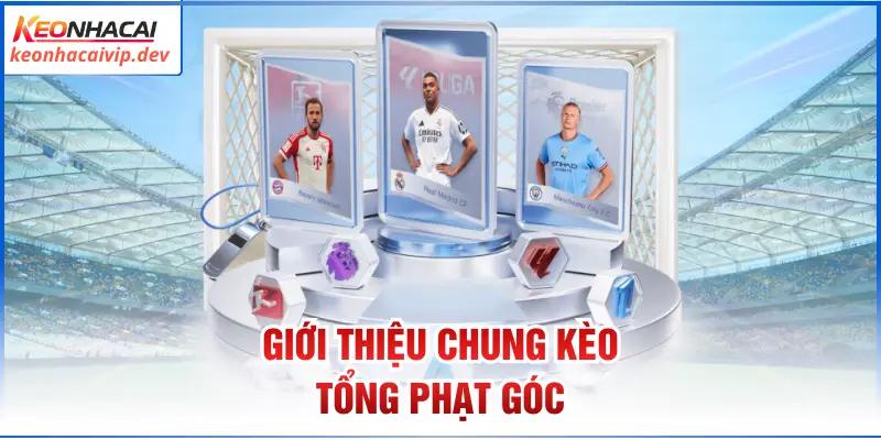 Giới thiệu chung kèo tổng phạt góc