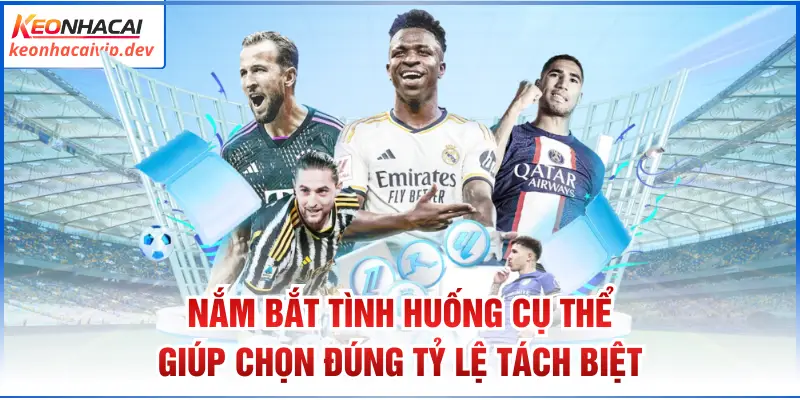 Nắm bắt tình huống cụ thể giúp chọn đúng tỷ lệ tách biệt