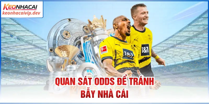 Quan sát odds để tránh bẫy nhà cái