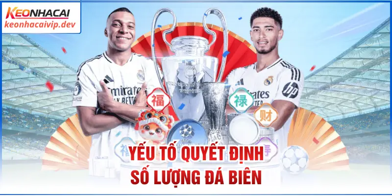 Yếu tố quyết định số lượng đá biên